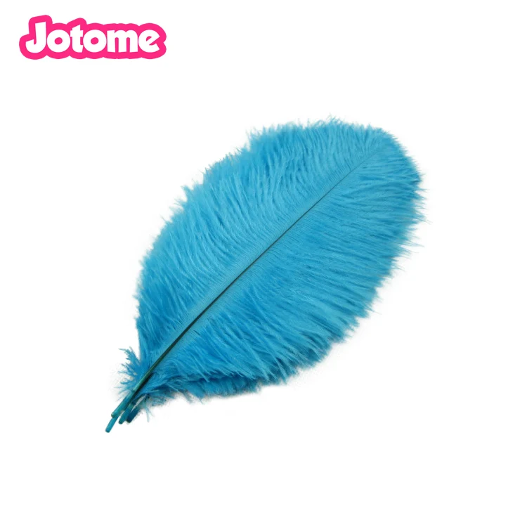 ostrich feathers blue