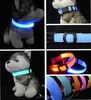 dog led collar waterproof led dog collar