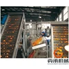 Hot sale fruit making automatic industrial orange juice machine