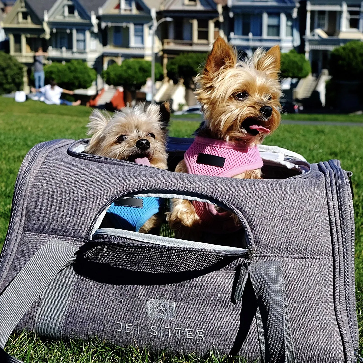 Top Loading Jet Sitter Super Fly Airline Approved Soft Sided Pet Carrier Bag for Small Dogs or Cats TSA Travel 