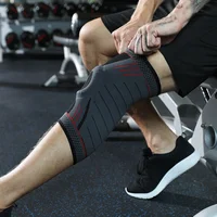 

Factory Made Silicone Basketball Nylon Knitted Knee Support Sleeves, Compression Knee Brace for Joint Pain and Injury Recovery