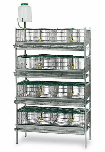 Quail Farm Equipment 6 Layers Cage 200-300 Quail Breeding Cages