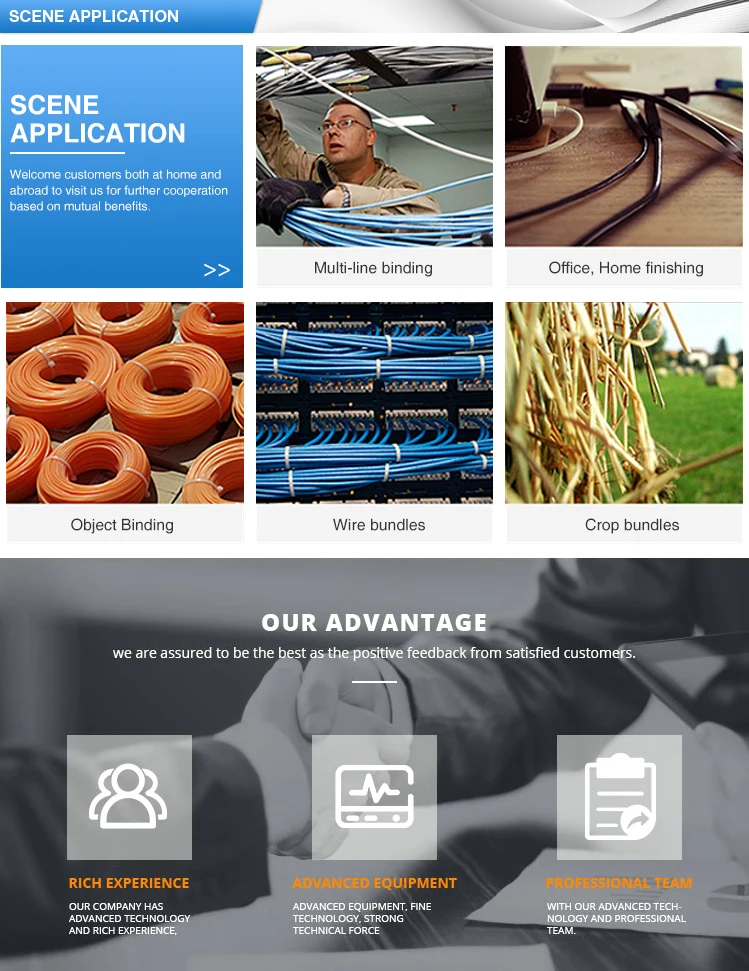 Mountable Head Cable Ties, Black Double Locking Cable Ties UV