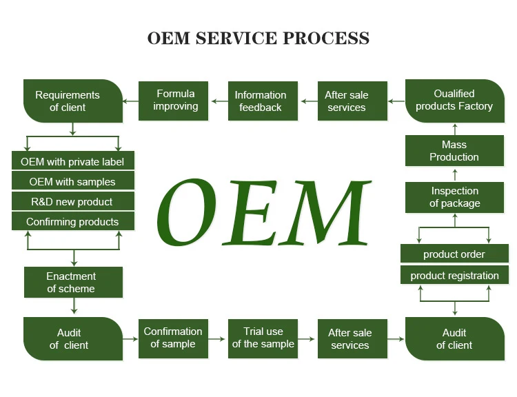 OEM service process.jpg