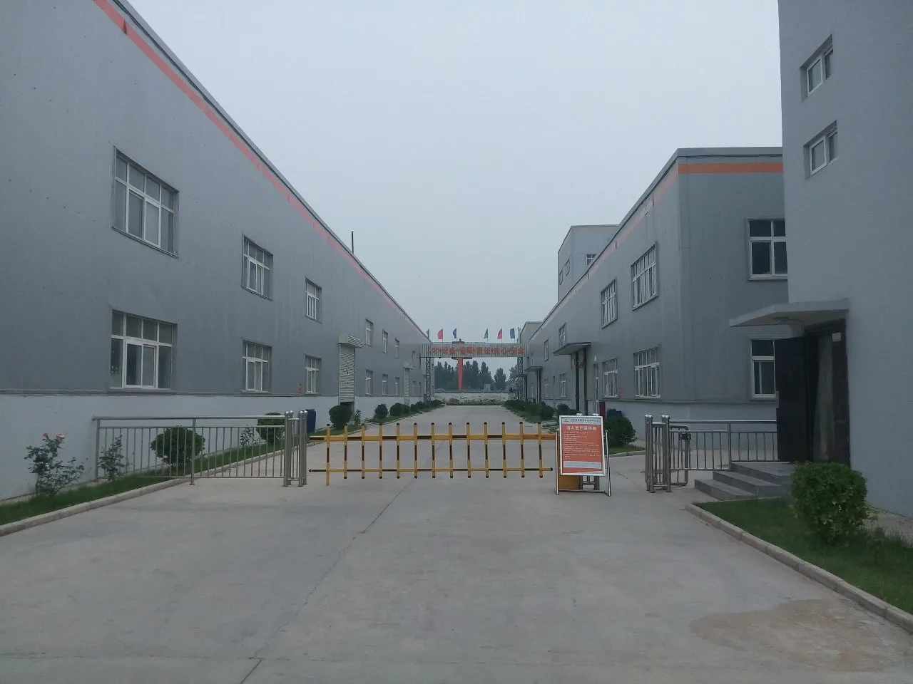 plant (9).jpg