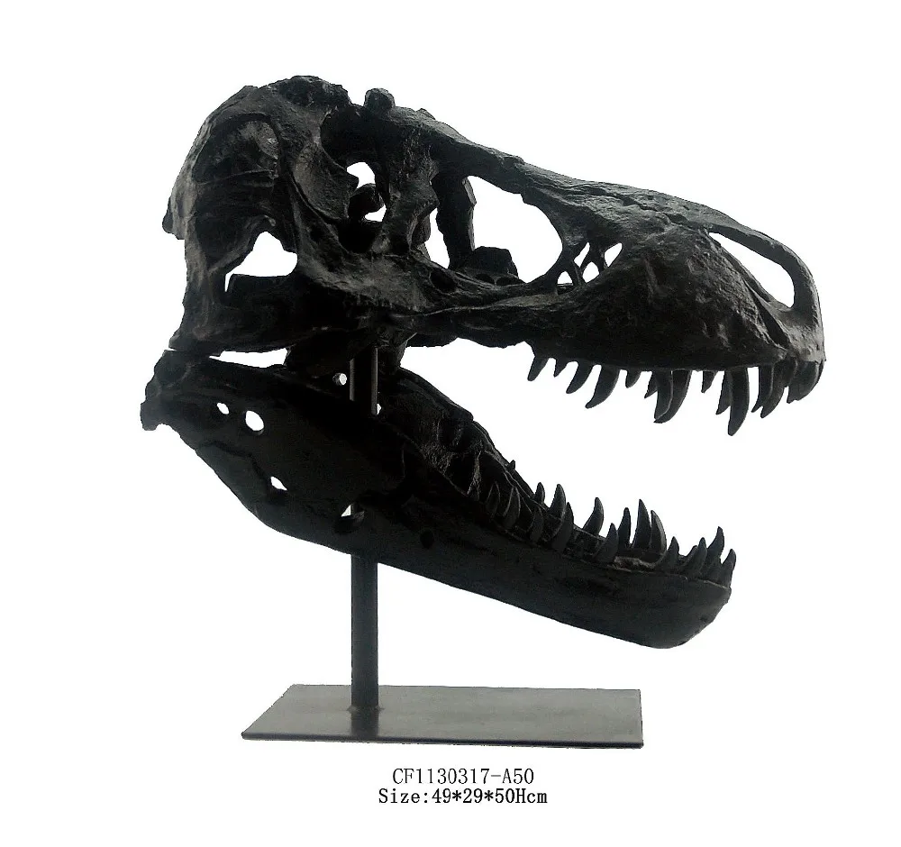 3D Carved Resin Animal Head Tyrannosaurus T Rex Head  Dinosaur Skull For Home Decor factory