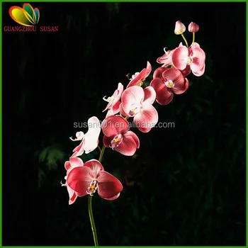 Blood Orchid Flower - Flower for Blood Orchid Flower- www.accionph ...