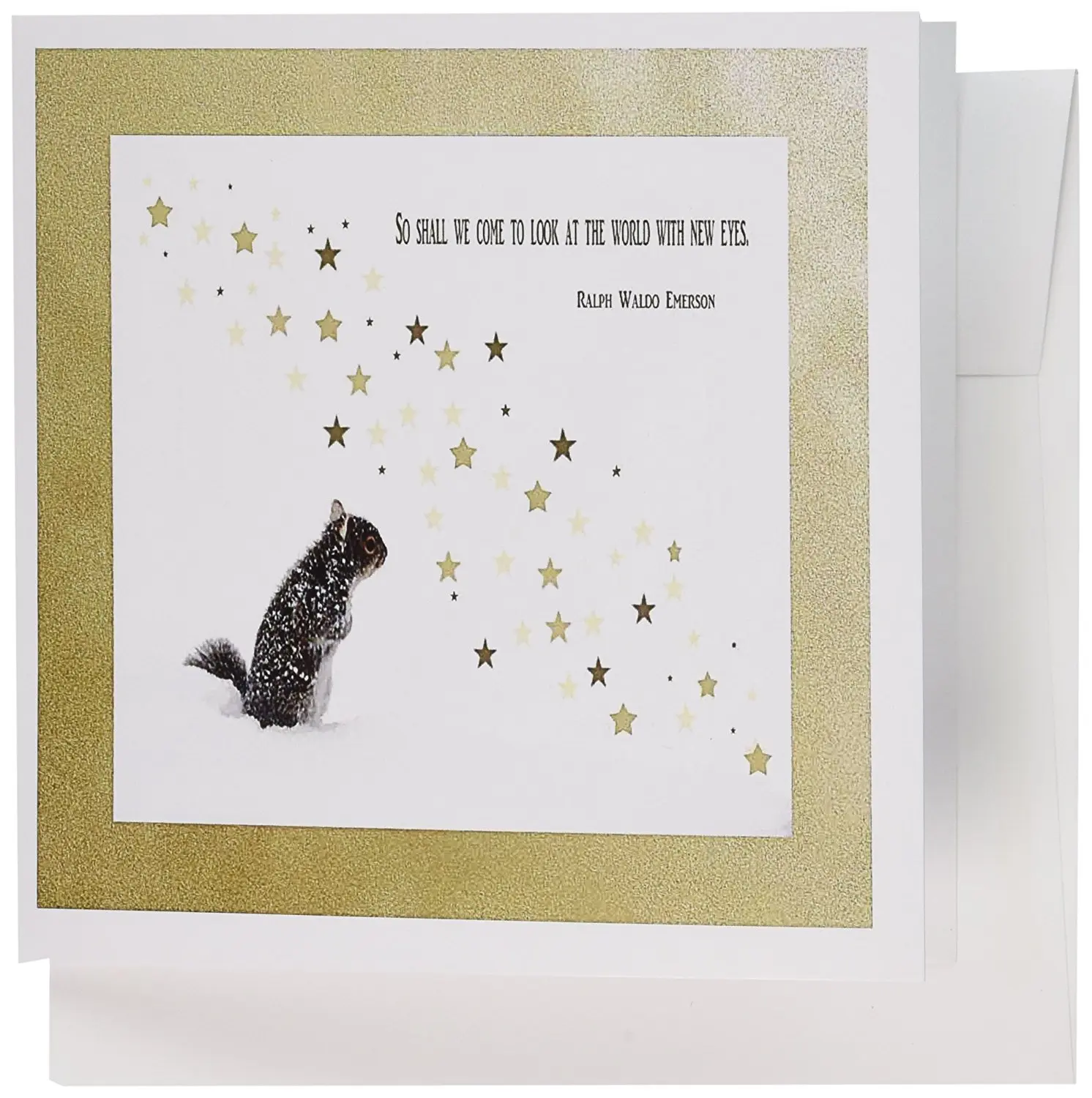 Buy 3dRose Squirrel, New years, Ralph Waldo Emerson Quote ...