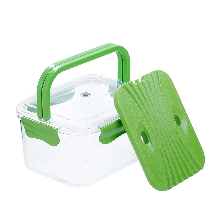 Ice Pack Storage Container Keep Food Fresh With Cooler Bag Buy Ice