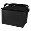 Insulated Lunch Box Cooler Bag for food and water