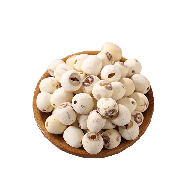 
Factory direct price lotus root seeds 