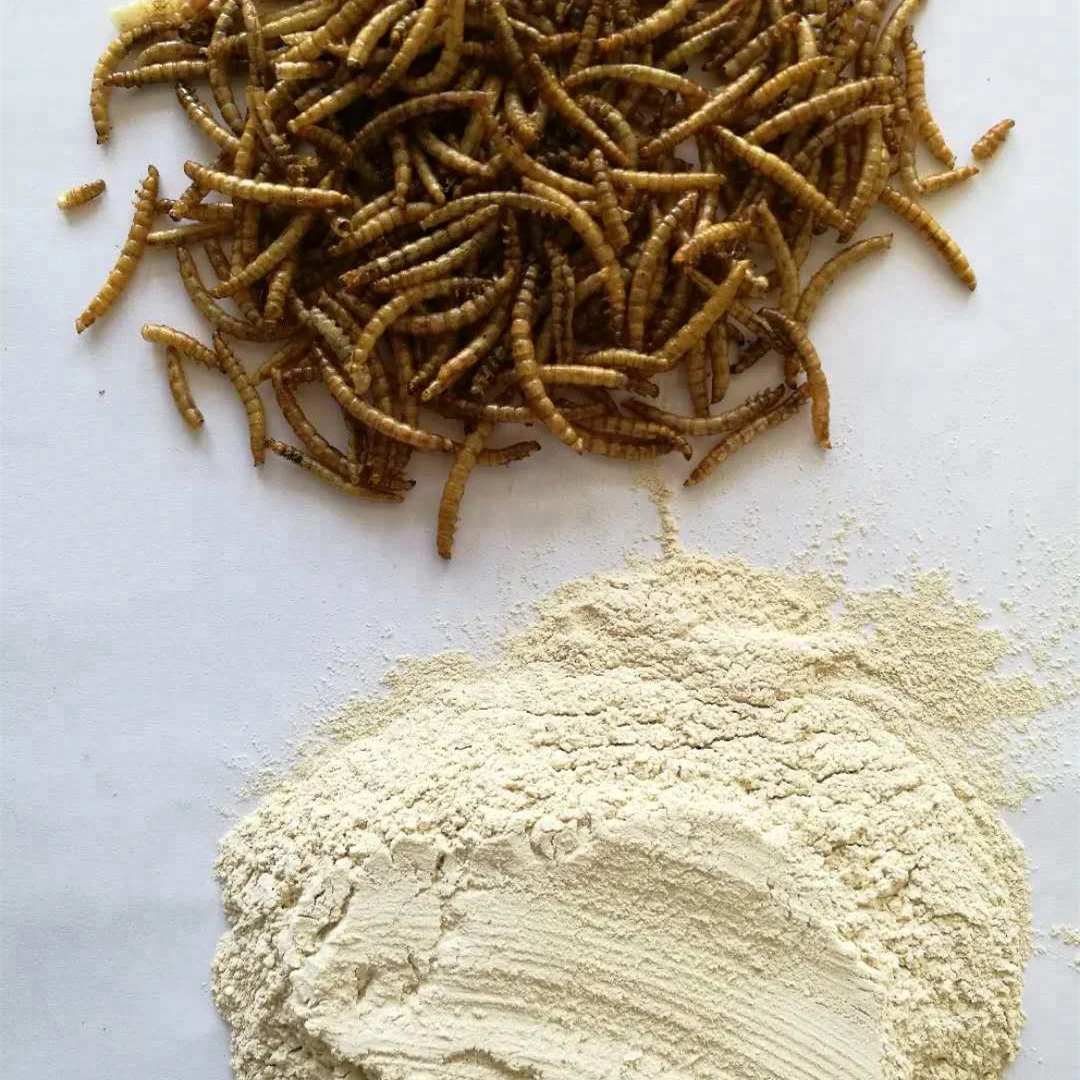 Stingray Feed,Mealworms For Rare Fish Feed,The Top Popular Feed For