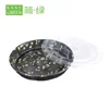 Easy Green Manufacturer Take Away Tableware Fancy Eco Friendly Round Disposable Plastic Plates For Wedding