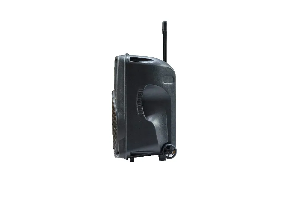 12 Inch Trolley Speaker with Wireless Mic - Sound Pa System