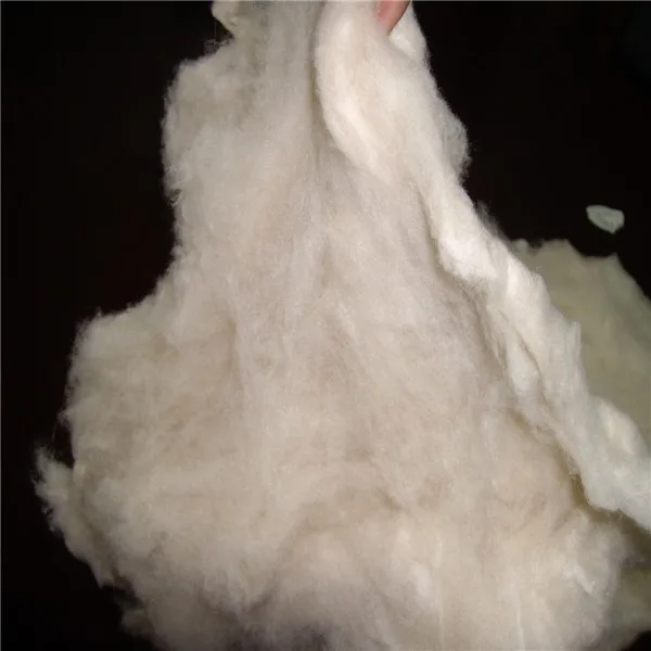 100 Raw Goat Mongolia Pashmina Cashmere Wool Fiber Buy Cashmere Wool