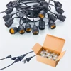 2018 Classical Led festoon black lighting string made in china