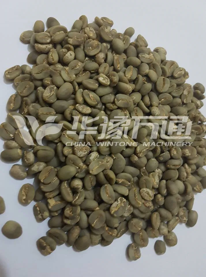 clean coffee bean .jpg