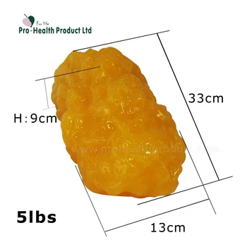 5lbs Human Fat Replica Anatomical Model - Buy Fat Model For ...