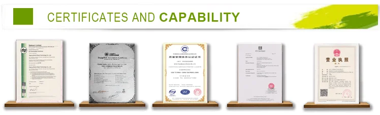 Sanhe Robot Chinese silk festival lantern