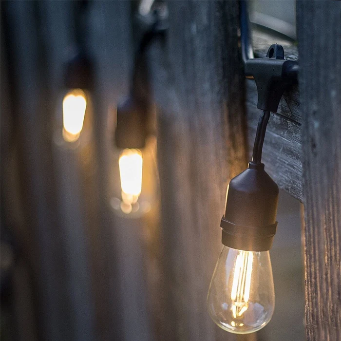 festoon light-5.jpg