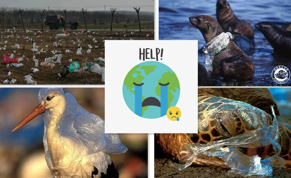 OXO Biodegradable Bubble Wrap Roll for Cushioning and Moving.jpg