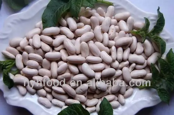 white_kidney_beans2.jpg