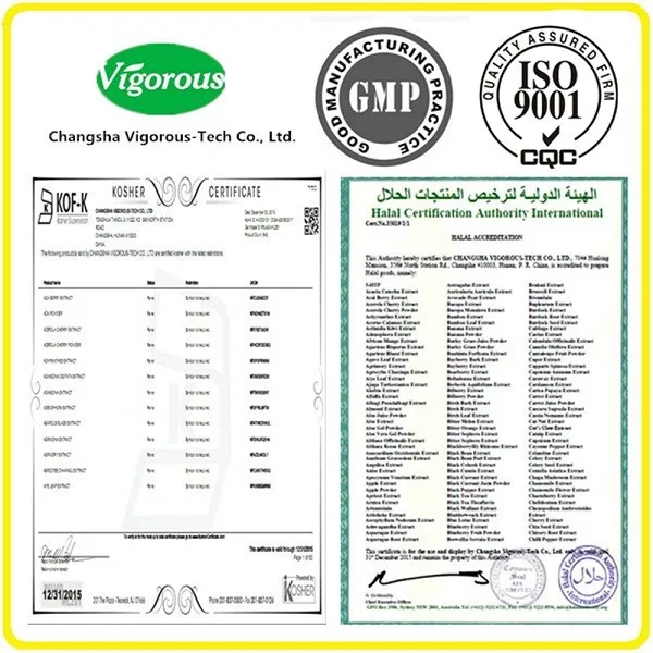 4certificates.jpg