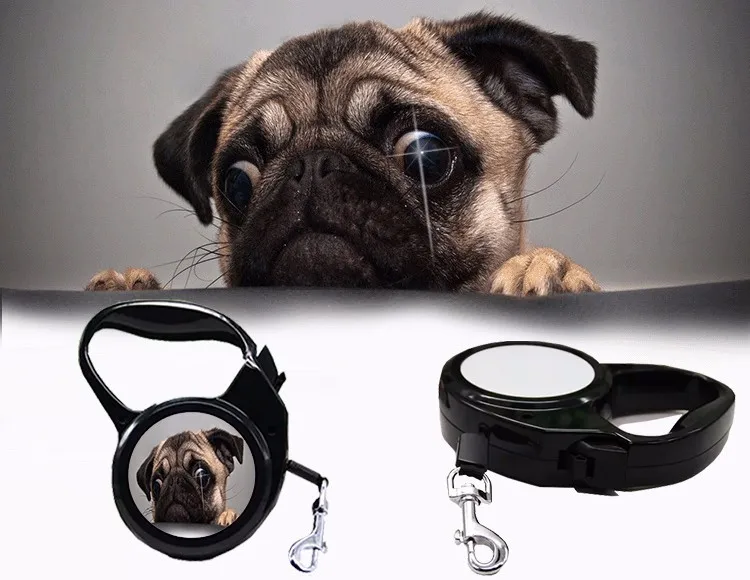 diy retractable dog leash