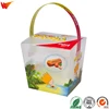 wanli brand clear plastic box creative design nut box cube small basket pet pp plastic packing box gift
