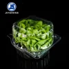 Lettuce blister flip plastic environmentally friendly packaging