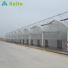 Magnetic Insect Screen for Greenhouse Zipper Door for sale