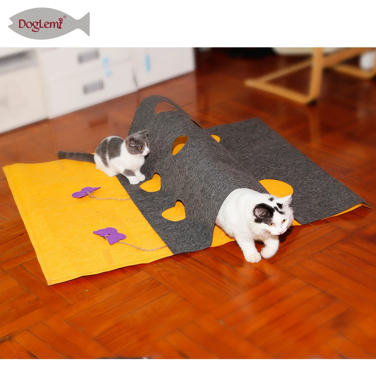 kitten play mat