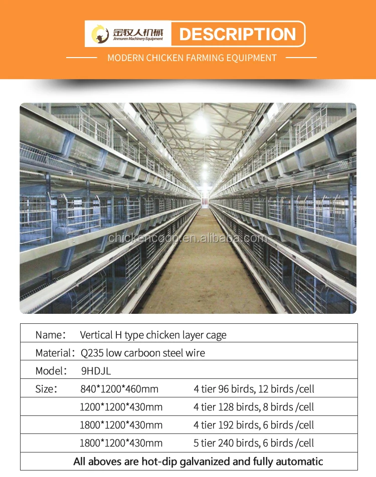 Jinmuren Uganda Layer Farm Chicken Coop Cage For Sale Buy Uganda