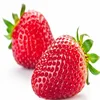 green and healthy fruit Chinese frozen strawberry