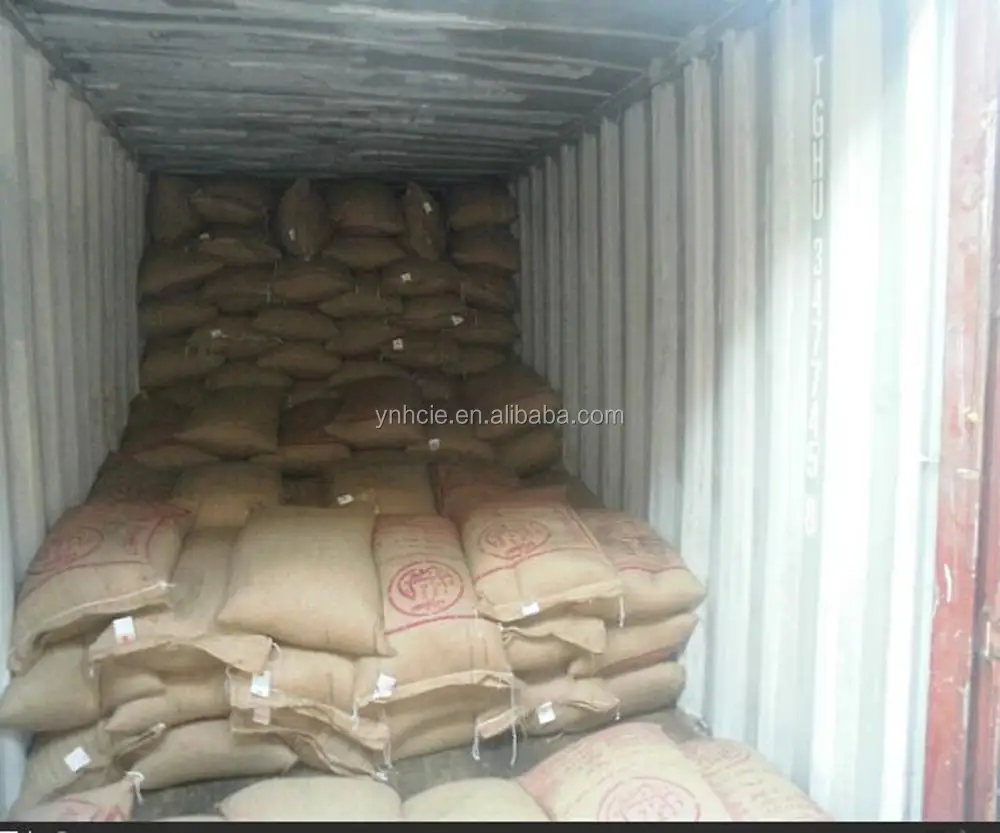
green coffee beans export container 