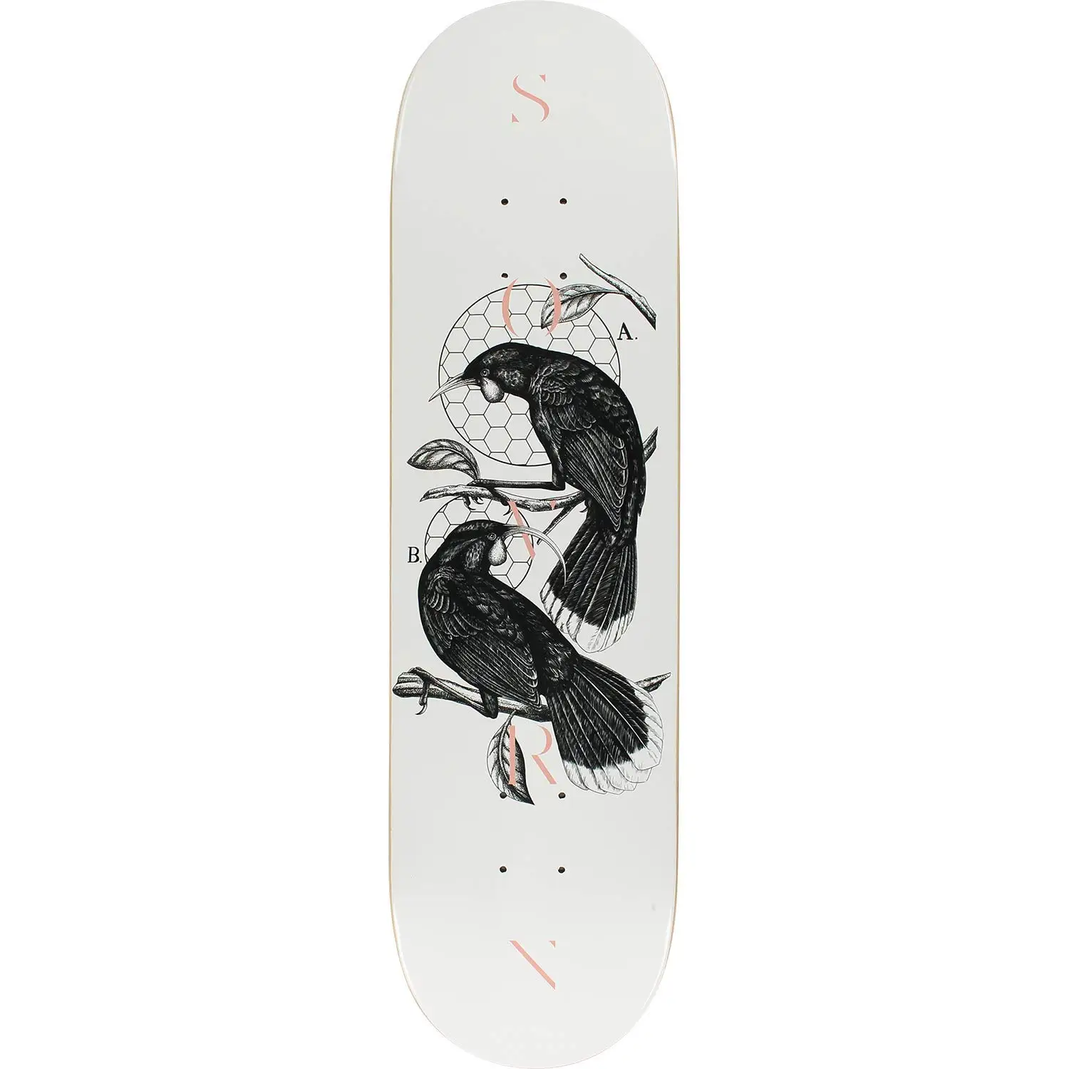 Cheap Clear Skateboard Deck, find Clear Skateboard Deck deals on line at