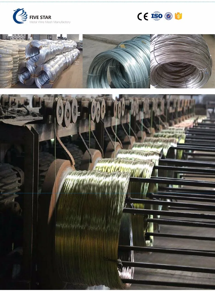 Electro-Galvanized-Iron-Wire_02.jpg