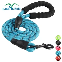 

Heavy Duty Padded Handle Reflective Nylon Pet Dog Training Walking Leash