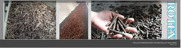 YGKJ Vertical Ring Die Wood Pellet Mill Wood Pellet Machine