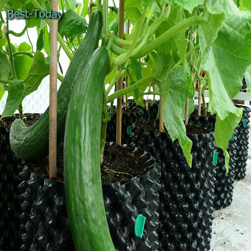 hot selling factory price flower pot plant grow pot pvc material