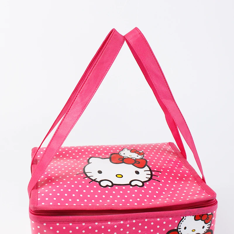 non woven cooler bag  (2)