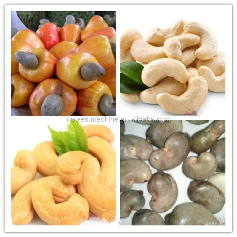 cashew nut price