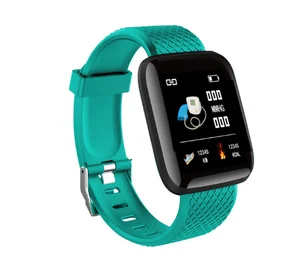 116 Plus Smart Watch 1.3 inch TFT Screen
