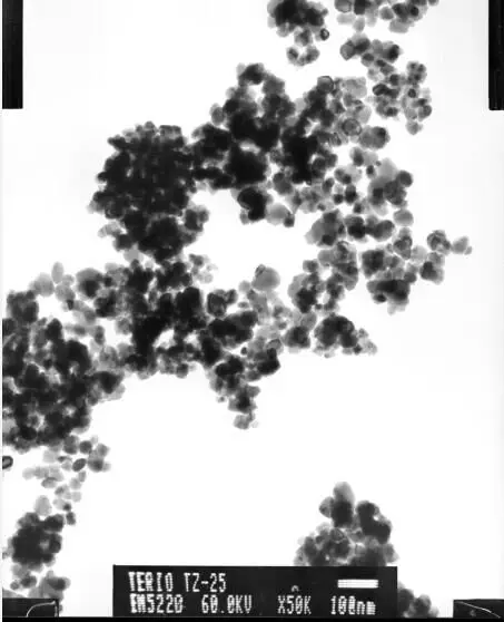 SEM primary particle size 20-30nm  2.jpg