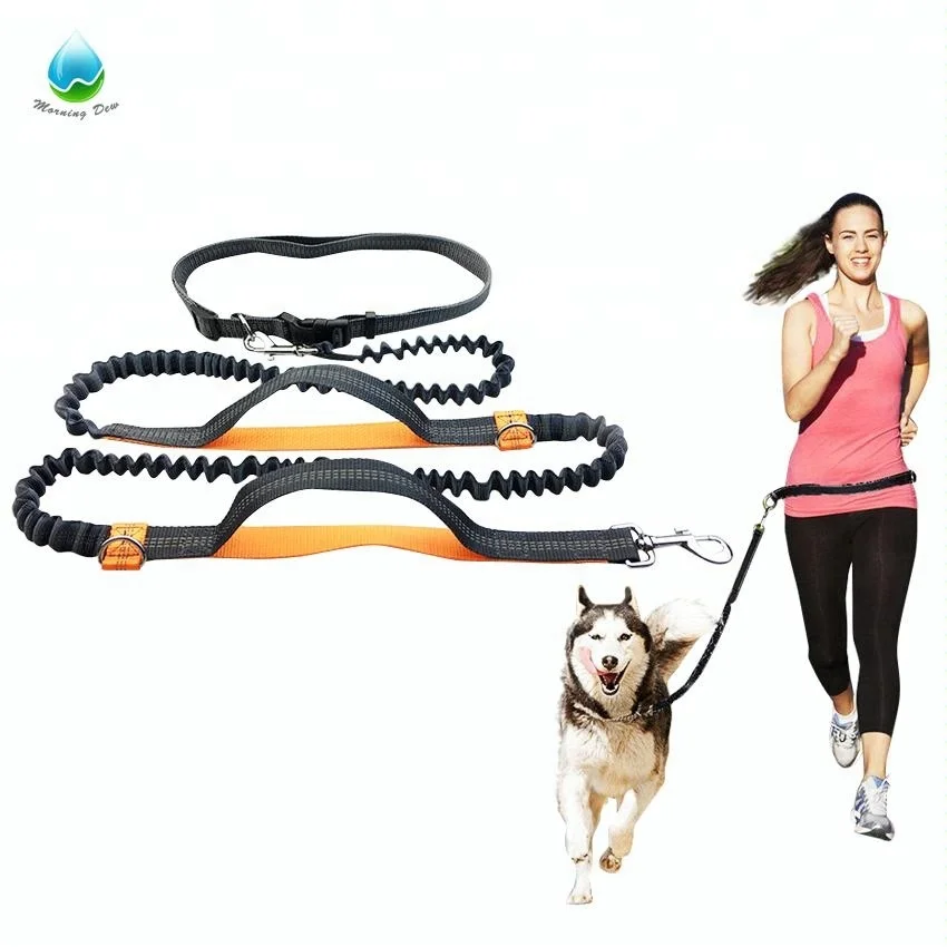 

Waist Belt with Pouch Bungee pet Running lead hands free dog leash, Green orange blue