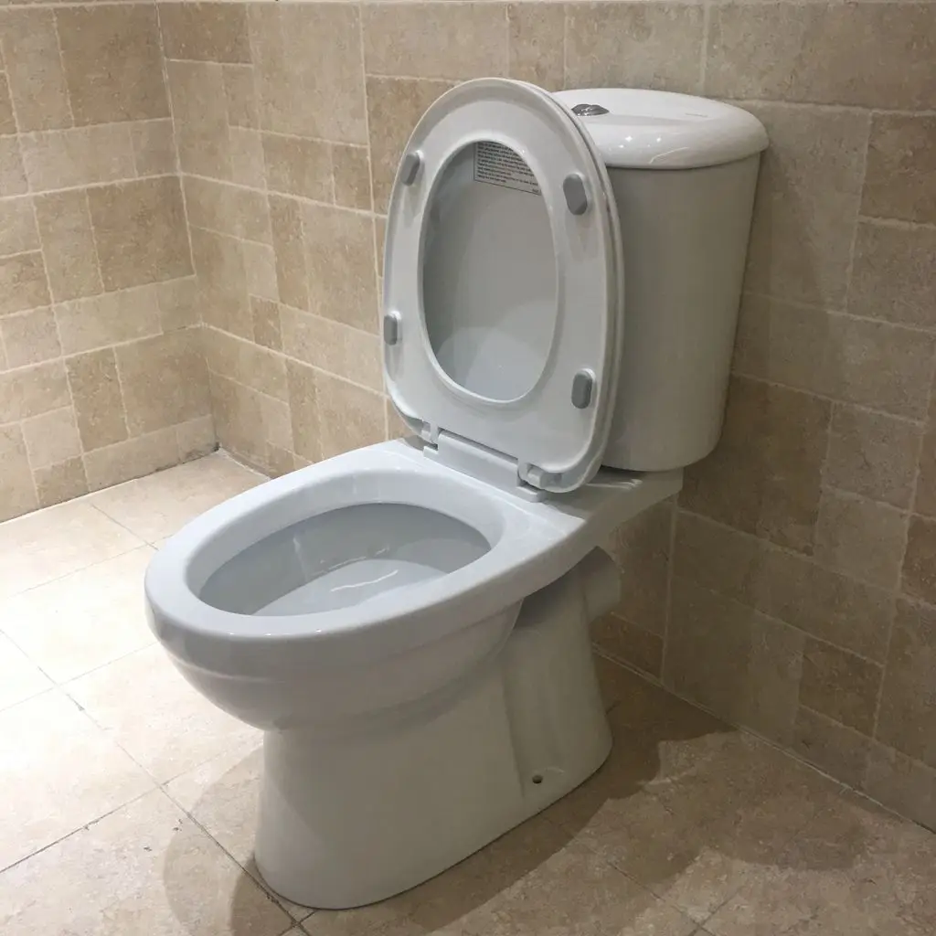 Huida Modern Western Bathroom Two Piece Ptrap Washdown Ceramic