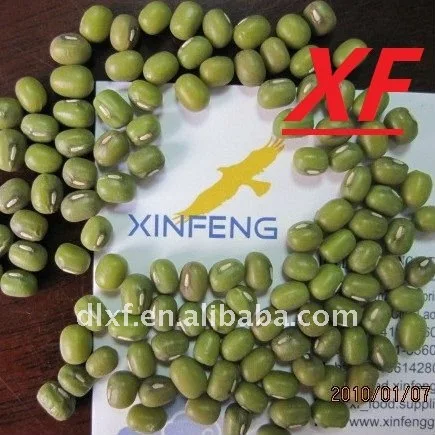 
mung beans hot selling green mung beans factory price best sell 