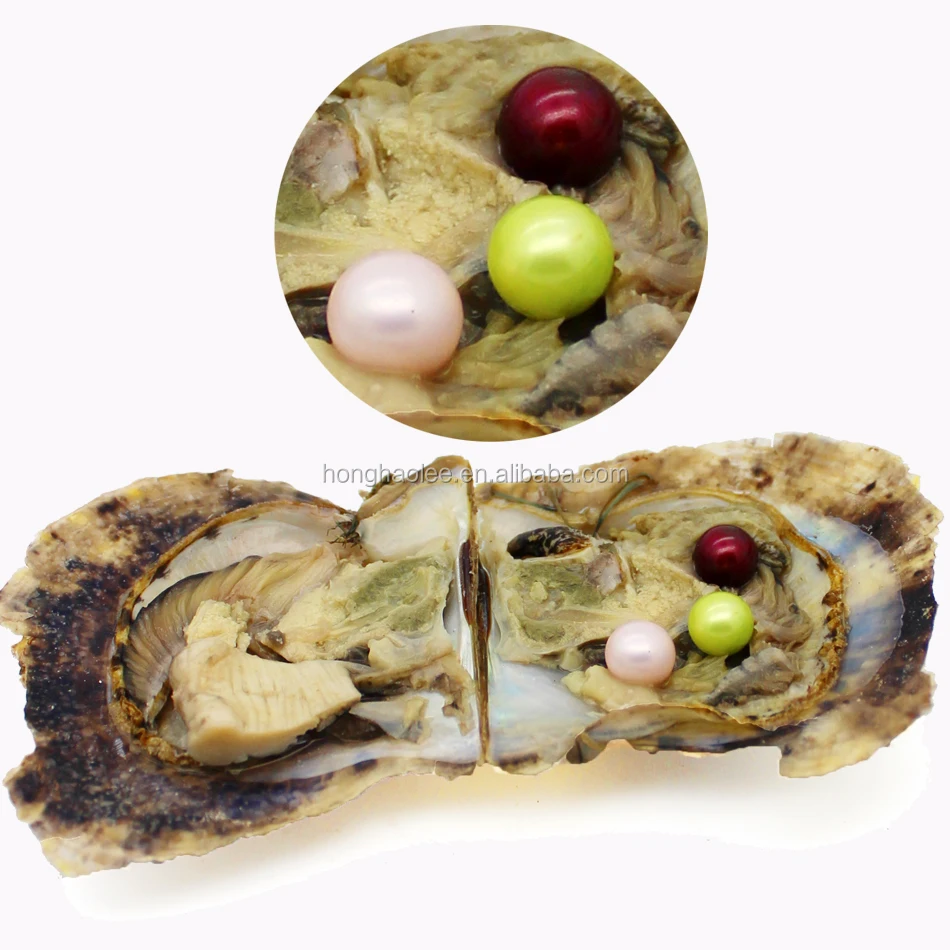 

Wholesale 4A round 7-8mm Akoya OYSTER with triplets pearl ~ best quality / best price / great gift!