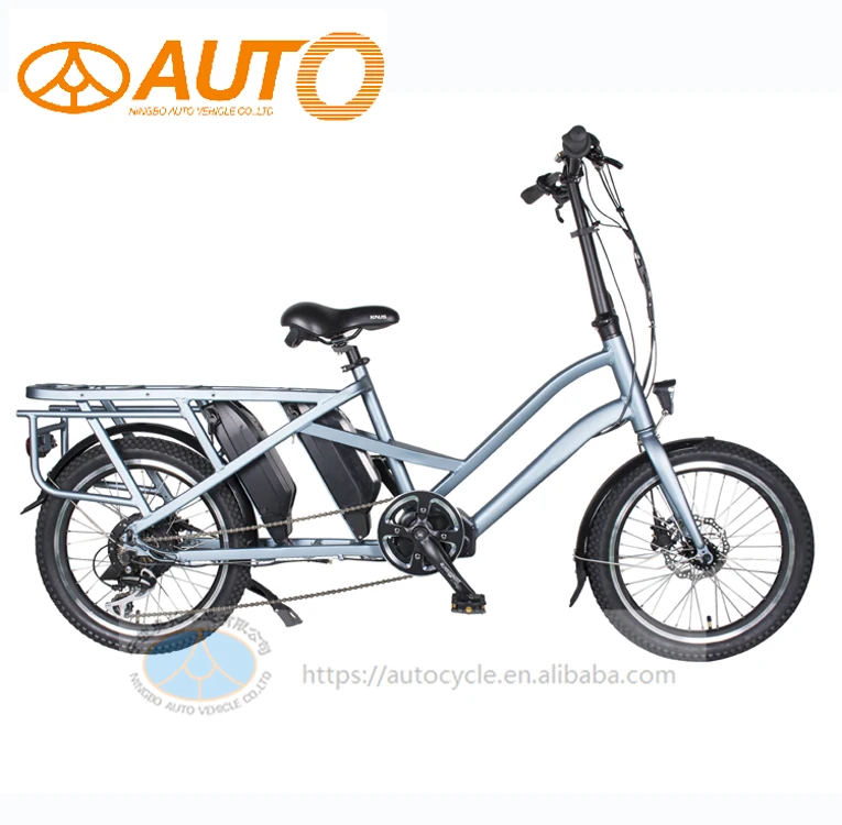 electric bike with swappable battery