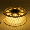 TOPREX DECOR Alibaba hot sale waterproof high brightly warm white 100m led rope lights string